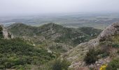 Excursión Senderismo Aureille - la tour des Opies - Photo 3