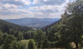 Trail Mountain bike Labaroche - tanet - Photo 2