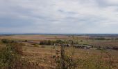 Tocht Mountainbike Saint-Clément - sortie vtt du 06102018 Haut de la Coye - Photo 2