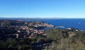 Percorso Marcia Port-Vendres - BOUCLE PORT VENDRES - COLLIOURE  - Photo 1
