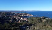 Excursión Senderismo Port-Vendres - BOUCLE PORT VENDRES - COLLIOURE  - Photo 1