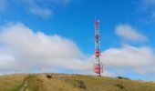 Trail Walking Sangatte - sangatte - cap blanc nez via les terres, retour par les falaise - Photo 16