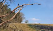 Tour Wandern Houyet - rando custinne 8 /03/2021 - Photo 18