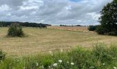 Randonnée Vélo électrique Tuffé Val de la Chéronne - Les hauts de Tuffé - Photo 1