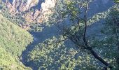 Trail Walking Prévenchères - Gorges du Chassezac au départ de la Garde guérin  - Photo 9