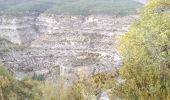 Randonnée Marche Val-Buëch-Méouge - le rocher du château, les gorges de Meouge - Photo 9