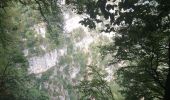 Excursión Senderismo Saint-Julien-en-Vercors - le pont du diable - Photo 10