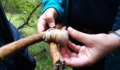 Excursión Senderismo Saint-Nizier-du-Moucherotte - Le bois de la Plagne- St Nizier du Moucherotte - Photo 10