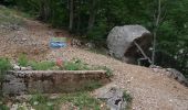 Trail Walking Le Saix - Le Fai - Lac de Peyssier - Photo 5