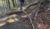 Trail Walking Bouillon - Bouillon 1 - Photo 4