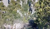 Randonnée Marche Oppedette - Gorges d'Oppedette - Photo 16