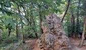 Trail Walking Ponsas - Les roches qui danse - Photo 3