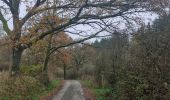 Percorso Marcia Somme-Leuze - Baillonville-Waillet-Les Vennes - Photo 1