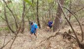 Tocht Stappen Saint-Raphaël - Les 5 cols- Esterel - Photo 11