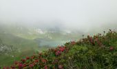 Trail Walking Vacheresse - LAC DARBON CHAROUSSE - Photo 3