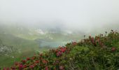 Tocht Stappen Vacheresse - LAC DARBON CHAROUSSE - Photo 3