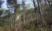 Tocht Stappen Saint-Étienne-de-Gourgas - Forêt de Parlatges - Roc de l'Eglise - Photo 19