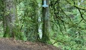 Tocht  Gérardmer - Bourrique, tour et cascade de Merelle - Photo 17