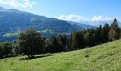 Randonnée A pied Saint-Gervais-les-Bains - Col de Tricot - Photo 6