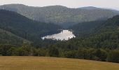 Trail Walking La Bresse - BREITSOUZE - DE LA SOURCE DE LA MOSELOTTE AU LAC DE LA LANDE - Photo 10