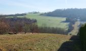 Tour Wandern Villemanoche - Villemanoche 240127 - Photo 1