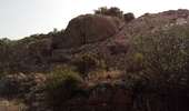 Trail Walking Monticello - boucle d'arbo - Photo 13