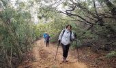 Excursión Senderismo Roquebrune-sur-Argens - La haute Cavalière - Photo 6