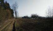 Tour Mountainbike Wirten - Saint-Remy  -  Balade_VTT_28kms - Photo 10