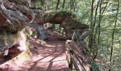 Randonnée Marche Münchweiler an der Rodalb - Felsenwald - Photo 2