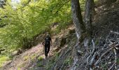 Trail Walking Bitschwiller-lès-Thann - JD 16/20 Willer sur Thur - Ferme Auberge d'Ostein 15km 4h - Photo 6