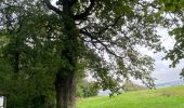 Tocht Stappen Gerpinnes - Les courtils de Gougnies  - Photo 2