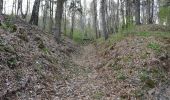 Trail On foot Ojców - Szlak Jaskini Ciemnej - Photo 4