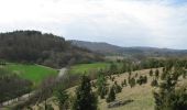 Percorso A piedi Gutsbezirk Kaufunger Wald - Premiumweg P 9 Wacholderpfad - Photo 2