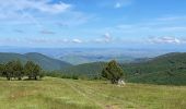 Trail Walking Bassurels - Mont Aigoual Meyrues - Photo 10