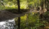 Tour Wandern Stoumont - La Gleize - Coo - La Venne - Photo 13