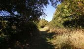 Trail Walking Bléré - Bléré - Fontenay - 15.9km 145m 3h45 - 2022 07 31 - Photo 3