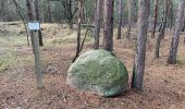 Tour Zu Fuß Luckaitztal - Wanderweg Kemmen-Kabel-Cabeler Berge - Photo 6