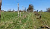 Tocht Stappen Houffalize - houffalize - Photo 3