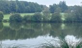 Trail Walking Plouay - PR_56_Plouay_AA_01_Manehouarn-Au-Scorff_Circuit1b_20240904 - Photo 11