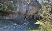 Trail Walking Signes - Plateau d'Agnis en partant de La Marseillaise - Photo 5