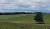 Randonnée Marche Houffalize - rando engreux 8-06-2025 - Photo 3
