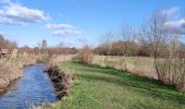 Tour Wandern Hannut - La promenade de la Mouhagne  - Photo 20