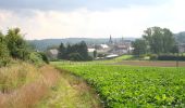 Tocht Te voet Onhaye - Tour du Village (Falaën) - Photo 1