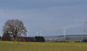 Tocht Stappen Libramont-Chevigny - rando laneuville(libramont)18/02/2021 - Photo 10