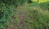 Tocht Stappen Nogent-le-Bernard - Nogent-le-Bernard - Menhir de Courtevrais - Photo 10