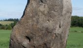 Tocht Te voet Le Vernet-Sainte-Marguerite - Le Puy d'Alou - Photo 2