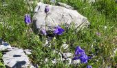 Randonnée Marche Beuil - Mont Demant Par Col de l'Espaul et col des Moulinés, Valberg - Photo 5