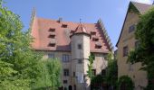 Tour Zu Fuß Sommerhausen - Weinbergsweg - Photo 5