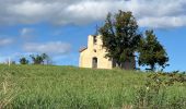 Trail Walking Blanzac - Rachat - Chapelle de Chassaleuil - Photo 6