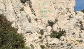 Tocht Stappen Marseille - Les calanques  - Photo 9